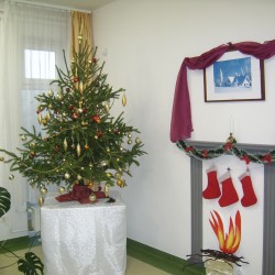 1457440438.4116-karacsony-2015.JPG