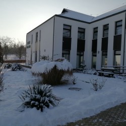 1613551797.0747-tel-2021.jpg