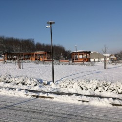 1613551893.5845-tel-2021.jpg